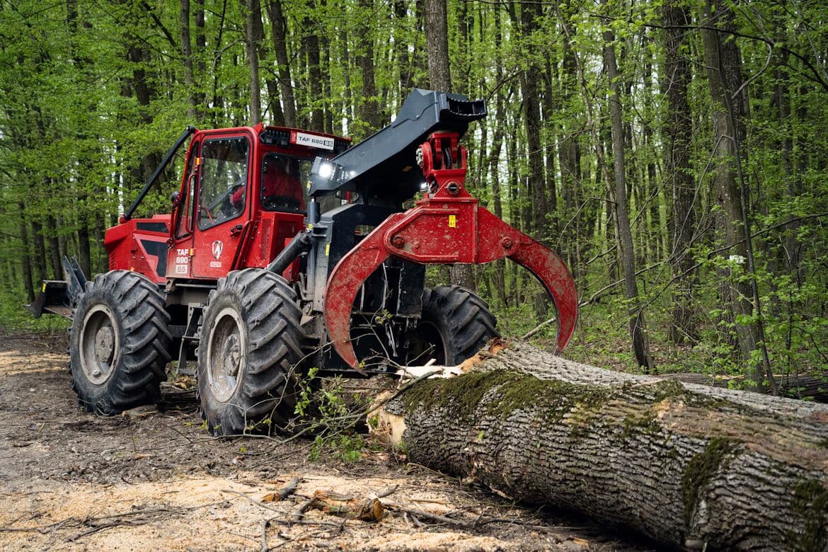 Forestry machine moving logs in a wooded area
